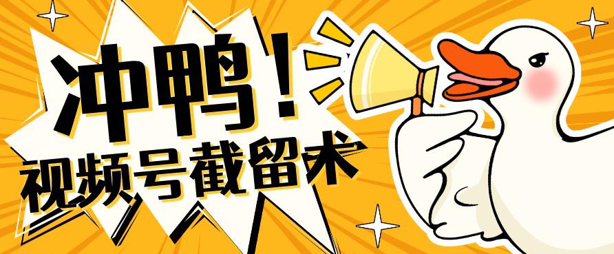全球首发-视频号无限截留术-你不知道的流量沃土-萝卜兔资源站