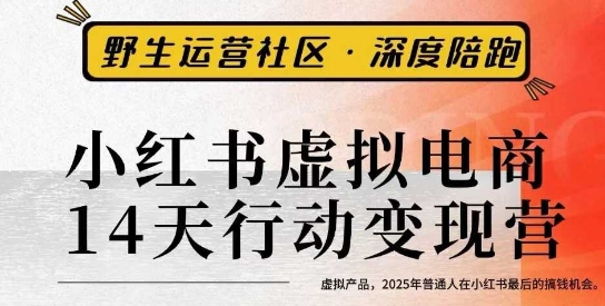 小红书虚拟电商14天变现训练营3.0，​虚拟产品，2025年普通人在小红书最后的搞钱机会-萝卜兔资源站