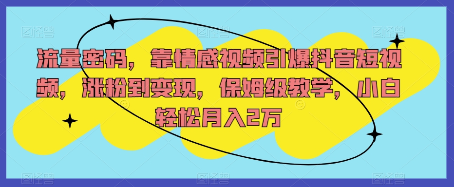 流量密码，靠情感视频引爆抖音短视频，涨粉到变现，保姆级教学，小白轻松月入2万【揭秘】-萝卜兔资源站
