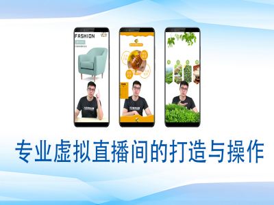 个人虚拟直播间的搭建与操作，专业虚拟直播间的打造与操作-萝卜兔资源站