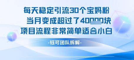 每天稳定引流30个人 当月变成超过了4个W项目流程非常简单适合小白-萝卜兔资源站