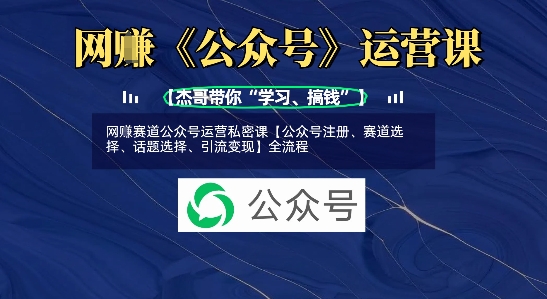 网创赛道公众号运营私密课【公众号注册、赛道选择、话题选择、引流变现】全流程-萝卜兔资源站