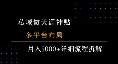 私域做天涯神贴 多平台布局 月入5k+详细流程拆解-萝卜兔资源站