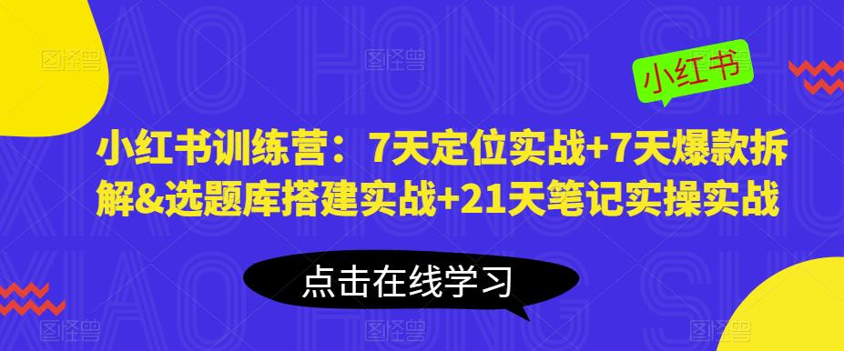小红书训练营：7天定位实战+7天爆款拆解&选题库搭建实战+21天笔记实操实战-萝卜兔资源站