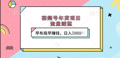 视频号年货项目，流量贼猛，早布局早挣钱，日入上k【揭秘】-萝卜兔资源站