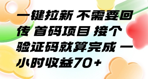 一键拉新 不需要回传 首码项目 接个验证码就算完成 一小时收益70+【揭秘】-萝卜兔资源站