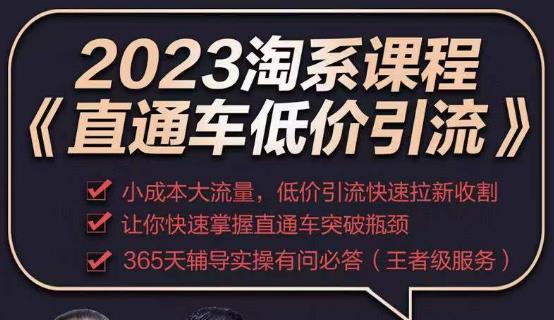 2023直通车低价引流玩法课程，小成本大流量，低价引流快速拉新收割，让你快速掌握直通车突破瓶颈-萝卜兔资源站