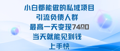 2025年小白都能做的私域项目引流负债人群最高一天变现1k+高变现难度低当天就能见到钱上手快-萝卜兔资源站