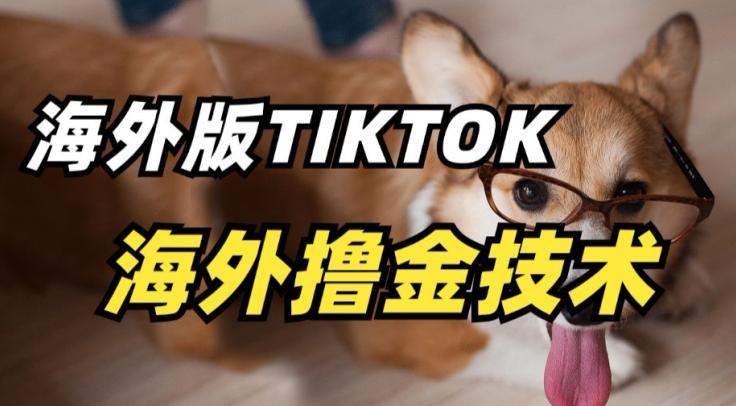 抖音海外版tiktok撸金技术，这个风口行业，赚钱真的不难【揭秘】-萝卜兔资源站