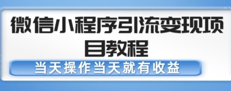 微信小程序引流变现项目教程，当天操作当天就有收益，变现不再是难事【揭秘】-萝卜兔资源站