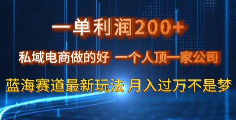 一单利润200私域电商做的好，一个人顶一家公司蓝海赛道最新玩法【揭秘】-萝卜兔资源站