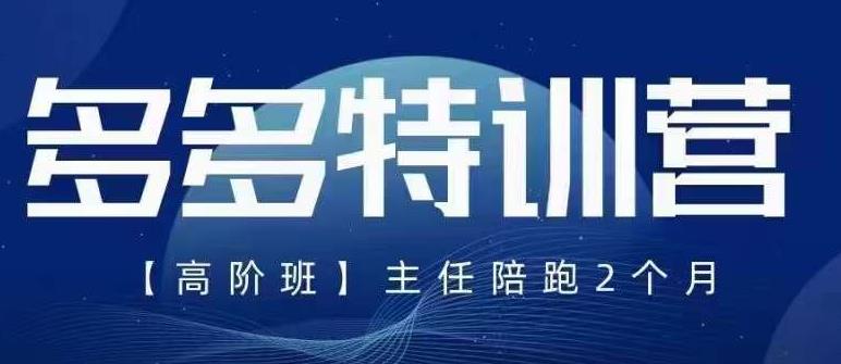 纪主任·5月最新多多特训营高阶班，玩法落地实操，多多全掌握-萝卜兔资源站