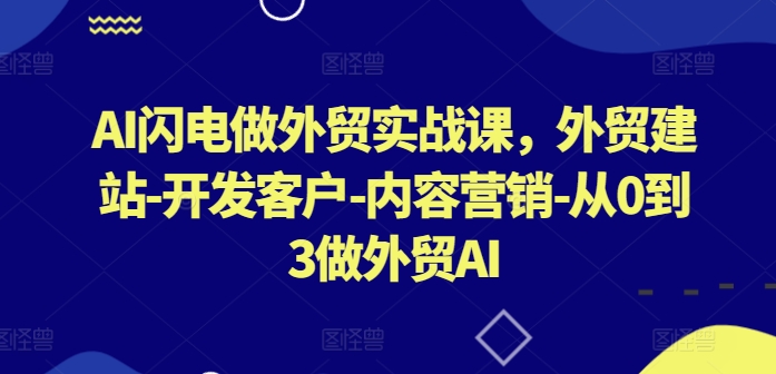 AI闪电做外贸实战课，​外贸建站-开发客户-内容营销-从0到3做外贸AI-萝卜兔资源站
