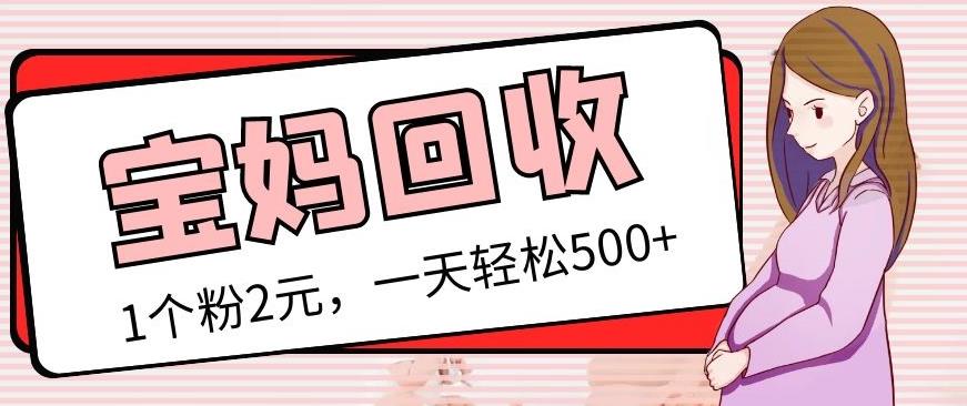 最新宝妈粉回收变现计划及胎教音乐高端变现玩法全套教程！（非老玩法）【揭秘】-萝卜兔资源站