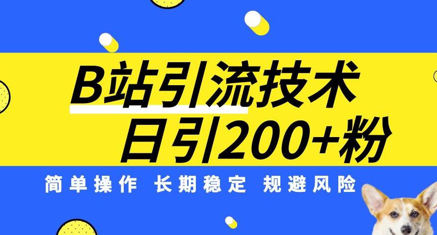 B站引流技术：每天引流200精准粉，简单操作，长期稳定，规避风险-萝卜兔资源站
