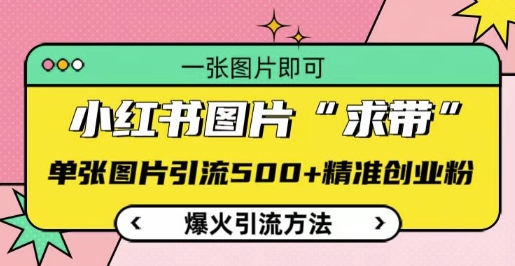 小红书图片‘求带’爆火引流法，单张图片引流500+精准创业粉【揭秘】-萝卜兔资源站