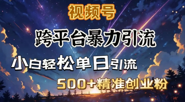 跨平台暴力引流，私域完美闭环，日引500+精准创业粉-萝卜兔资源站