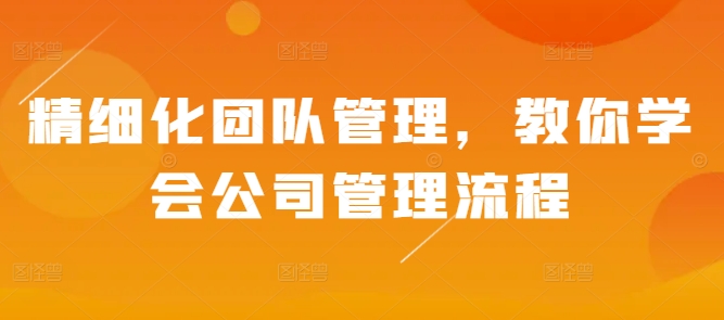 精细化团队管理，教你学会公司管理流程-萝卜兔资源站