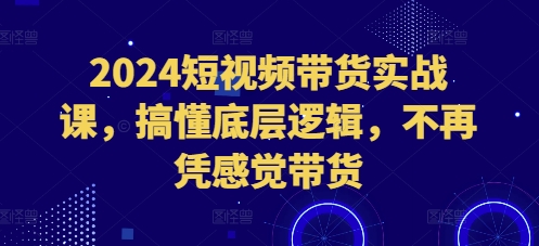 2024短视频带货实战课，搞懂底层逻辑，不再凭感觉带货-萝卜兔资源站
