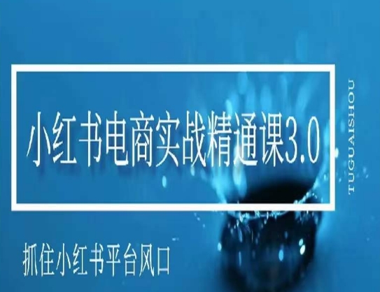 小红书电商实战精通课3.0，抓住小红书平台的风口，不错过有一个赚钱的机会-萝卜兔资源站