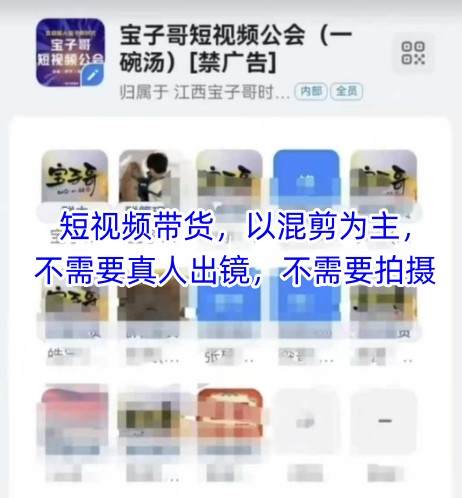 宝子哥头部团队短视频带货，以混剪为主，不需要真人出镜，不需要拍摄-萝卜兔资源站