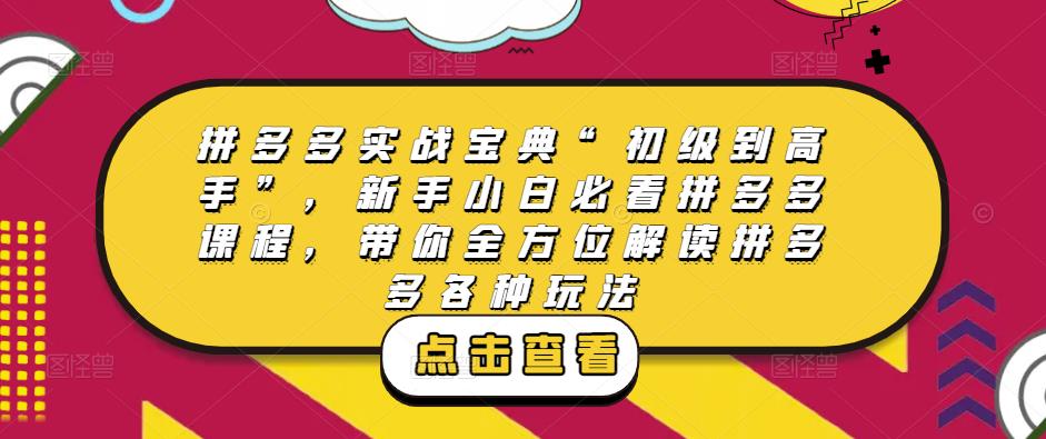 拼多多实战宝典“初级到高手”，新手小白必看拼多多课程，带你全方位解读拼多多各种玩法【揭秘】-萝卜兔资源站