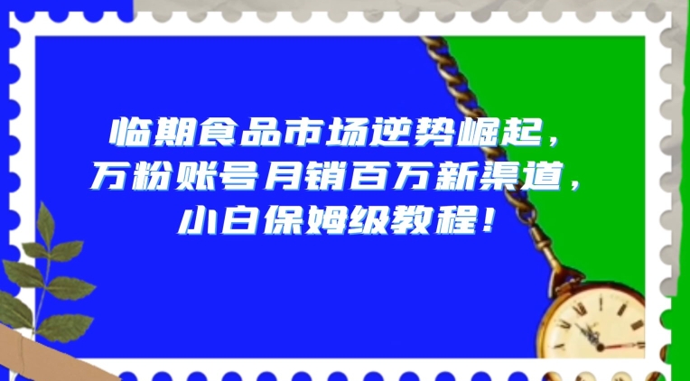 临期食品市场逆势崛起，万粉账号月销百万新渠道，小白保姆级教程【揭秘】-萝卜兔资源站