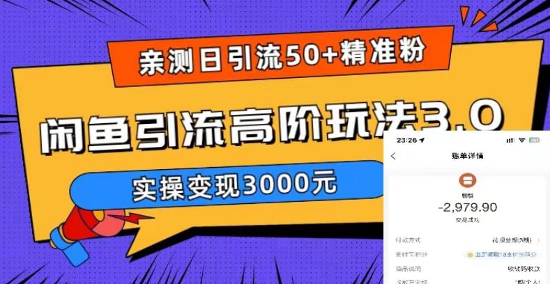 亲测日引50+精准粉，闲鱼引流高阶玩法3.0，实操变现3000元【揭秘】-萝卜兔资源站