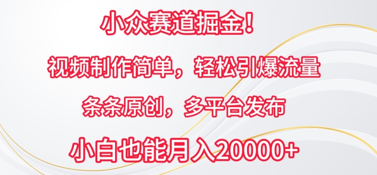 小众赛道掘金，视频制作简单，轻松引爆流量，条条原创，多平台发布【揭秘】-萝卜兔资源站