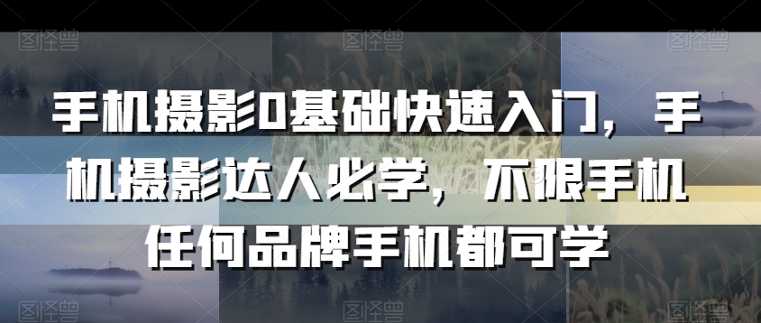 手机摄影0基础快速入门，手机摄影达人必学，不限手机任何品牌手机都可学-萝卜兔资源站