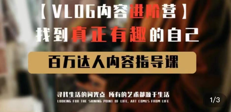 vlog内容进阶营，找到真正有趣的自己，百万达人内容指导课-萝卜兔资源站