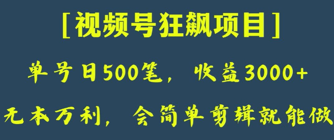 日收款500笔，纯利润3000+，视频号狂飙项目，会简单剪辑就能做【揭秘】-萝卜兔资源站