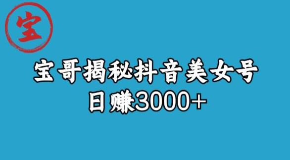 宝哥揭秘抖音美女号玩法，日赚3000+【揭秘】-萝卜兔资源站