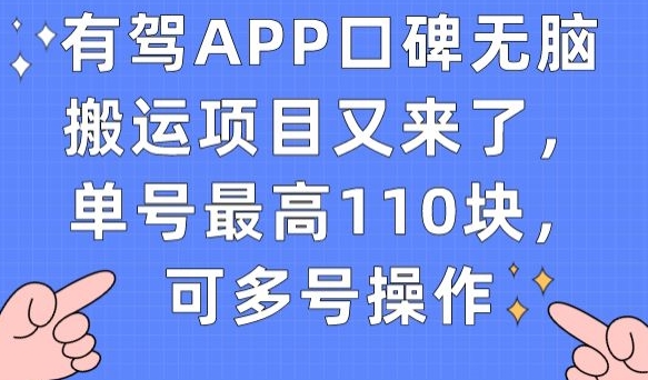 有驾APP口碑无脑搬运项目又来了，单号最高110块，可多号操作-萝卜兔资源站
