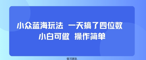 小众蓝海玩法 一天搞了四位数 小白可做 操作简单-萝卜兔资源站