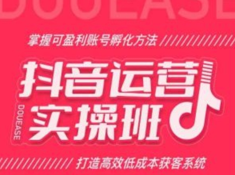 抖音运营实操班，掌握可盈利账号孵化方法，打造高效低成本获客系统-萝卜兔资源站