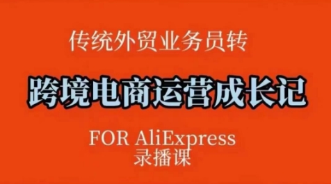 跨境电商速卖通运营课，​运营方法论+后台实操，逻辑清晰-萝卜兔资源站