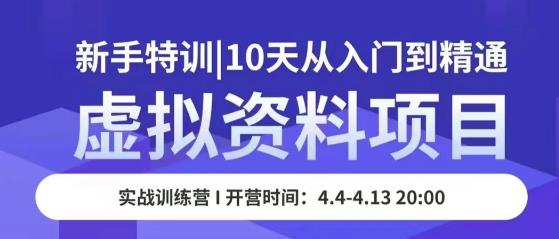虚拟资料项目新手特训，10天从入门到精通，保姆级实操教学-萝卜兔资源站
