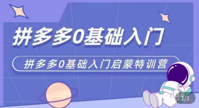拼多多运营0-1实操特训营，拼多多0基础入门，从基础到进阶的可实操玩法-萝卜兔资源站