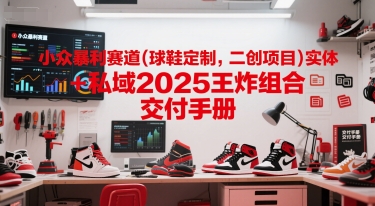 小众暴利赛道(球鞋定制，二创项目)实体+私域2025王炸组合  交付手册-萝卜兔资源站