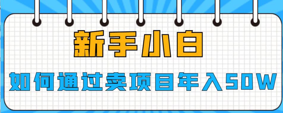 新手小白如何通过卖项目年入50W【揭秘】-萝卜兔资源站