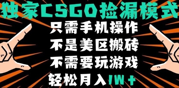 CSGO自动捡漏项目，最新独家玩法，不是美区搬砖，不需要了解和玩游戏，新手小白轻松月入1W+【揭秘】-萝卜兔资源站