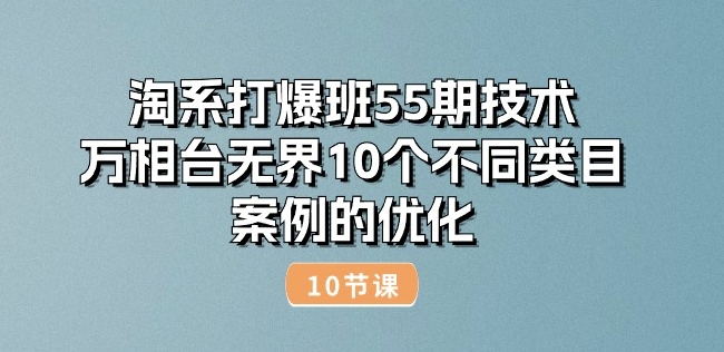 淘系打爆班55期技术：万相台无界10个不同类目案例的优化(10节)-萝卜兔资源站
