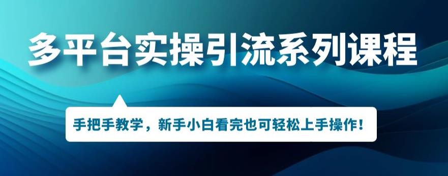 多平台引流实操系列课程，新手小白看完也可轻松上手进行引流操作-萝卜兔资源站