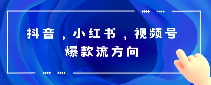 抖音，小红书，视频号爆款流视频制作，简单制作掌握流量密码-萝卜兔资源站