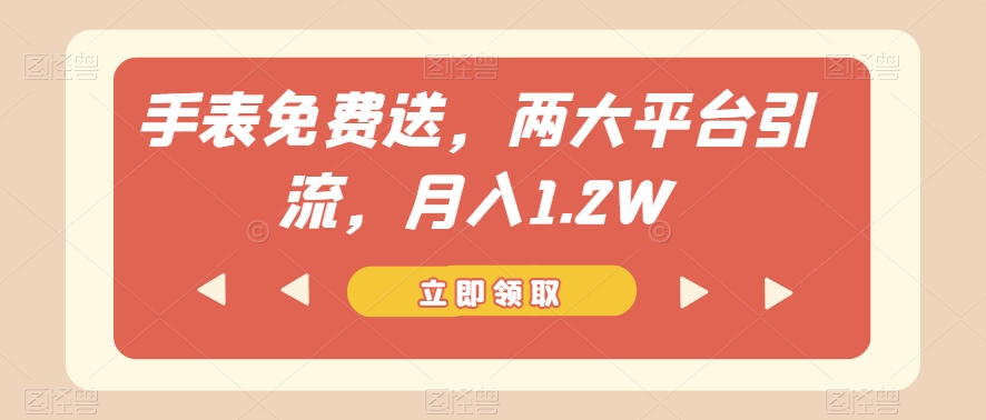 手表免费送，两大平台引流，月入1.2W【揭秘】-萝卜兔资源站