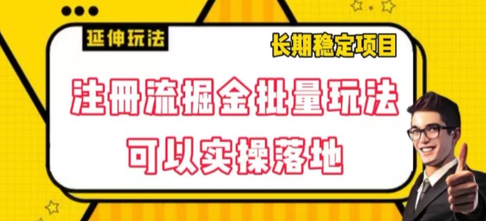 注册流掘金批量玩法，可以实操落地【揭秘】-萝卜兔资源站
