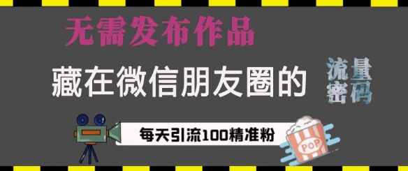 藏在微信朋友圈的流量密码，无需发布作品，单日引流100+精准创业粉【揭秘】-萝卜兔资源站