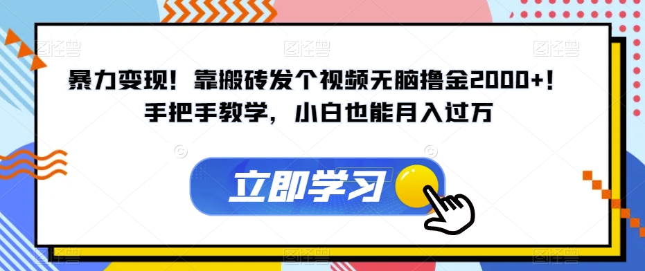 暴力变现！靠搬砖发个视频无脑撸金2000+！手把手教学，小白也能月入过万【揭秘】-萝卜兔资源站