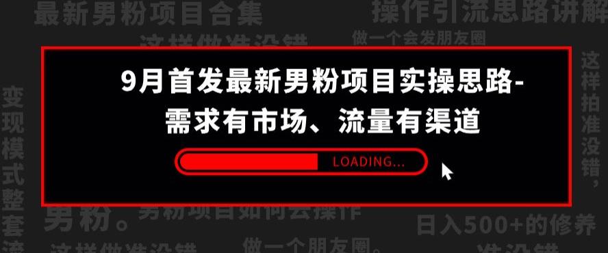 9月首发最新男粉项目实操思路-需求有市场，流量有渠道【揭秘】-萝卜兔资源站